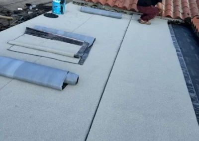 Professional Remodeler